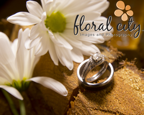 With this Ring I thee wed... Brittney and Jeff's Wedding Celebration summer bride, country wedding, daisy wedding